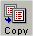 copyvalidsetbutton.gif
