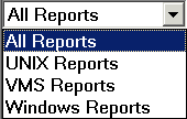 report_filter.gif